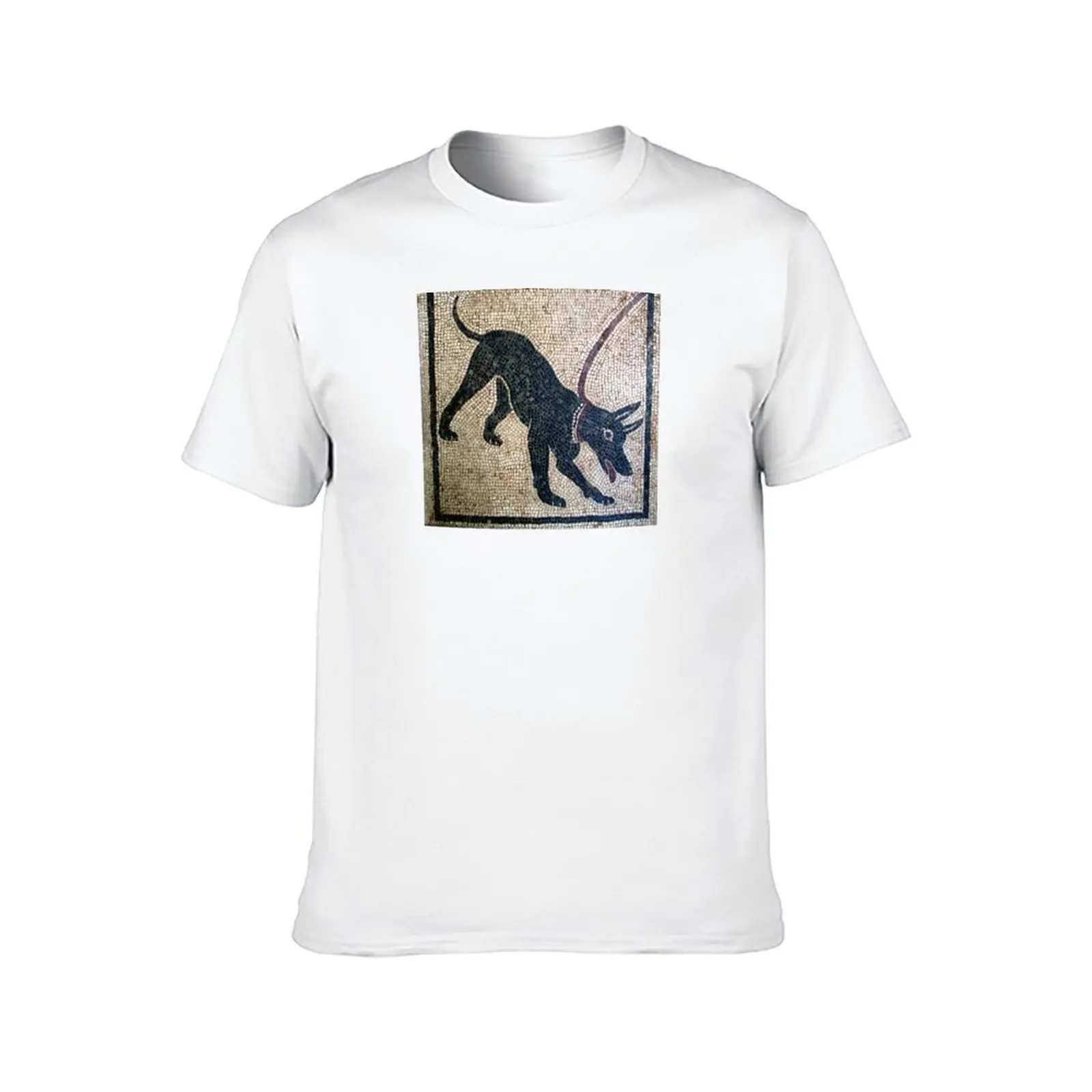 Cave canem- kaos Pompeii kuno untuk pria kaos lucu kaos katun