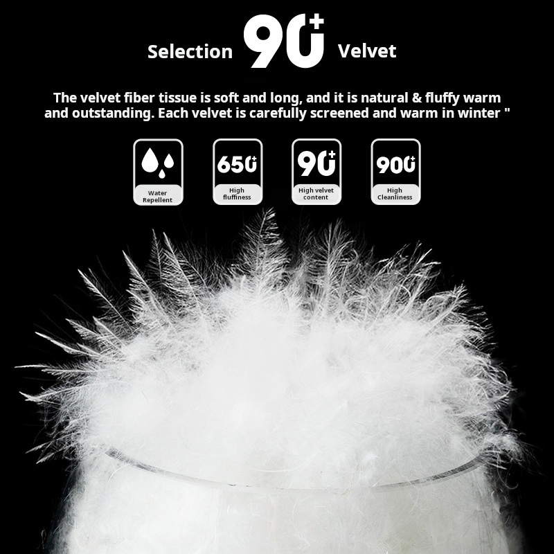 Doudoune d'hiver pour hommes de haute qualité en duvet de canard blanc rembourré léger dodu chaud imperméable à capuche doudoune