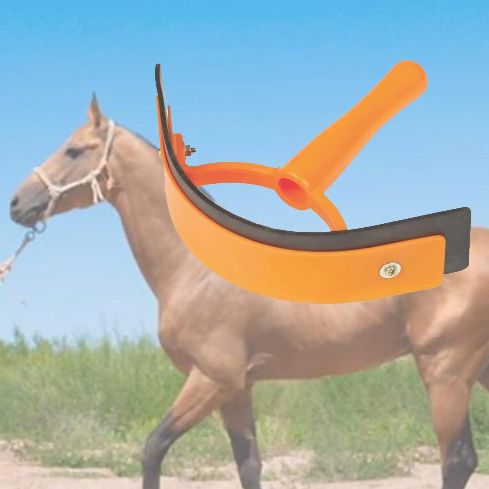 Rascador de sudor ecuino de animales de calidad, cepillo de limpieza para caballos, cuidado de caballos, raspador de sudor