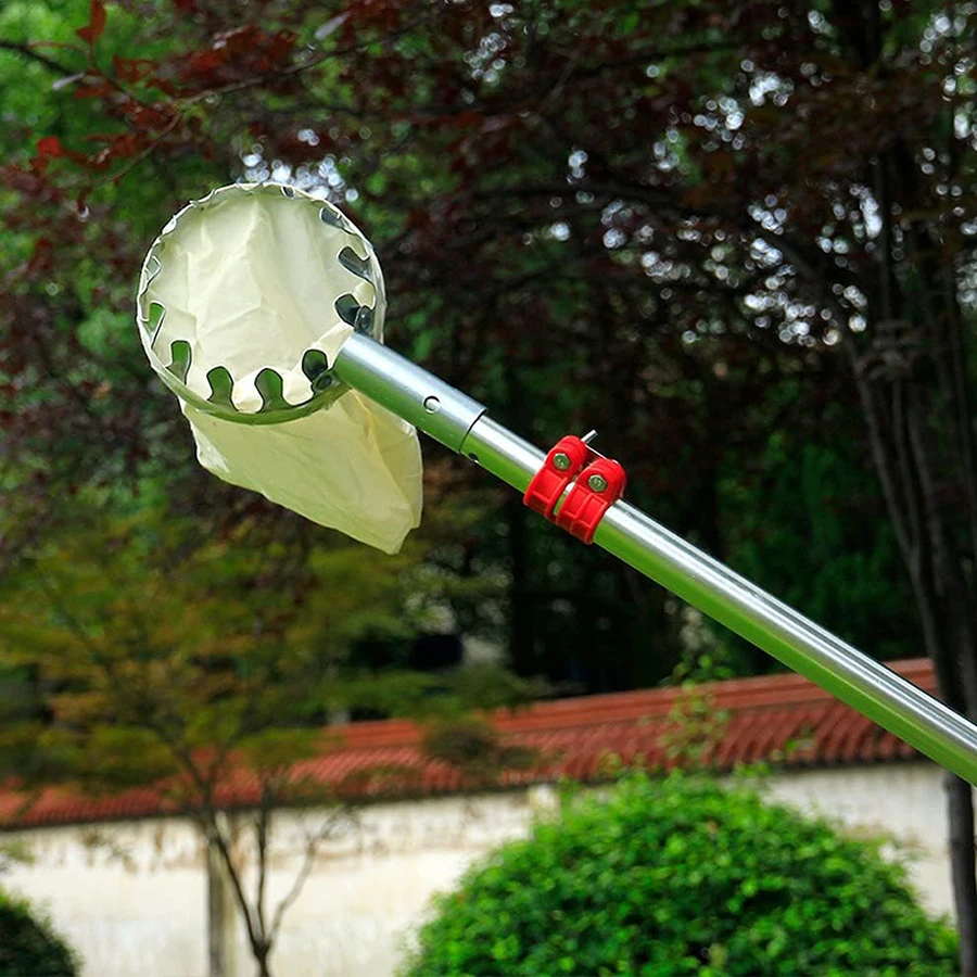 Strumenti per la raccolta di frutta Raccoglitore Raccoglitore di alberi Raccoglitore di frutta Bacche Attrezzo da giardinaggio Forniture per lavori in giardino Utensili Gadget agricoli