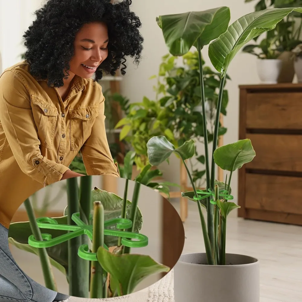 ดอกไม้StemสนับสนุนStakesปีนเขาHouseplantขาตั้งกรอบสวนพลาสติกไม่มีStake Trellisในร่มHolder Rack Hoops