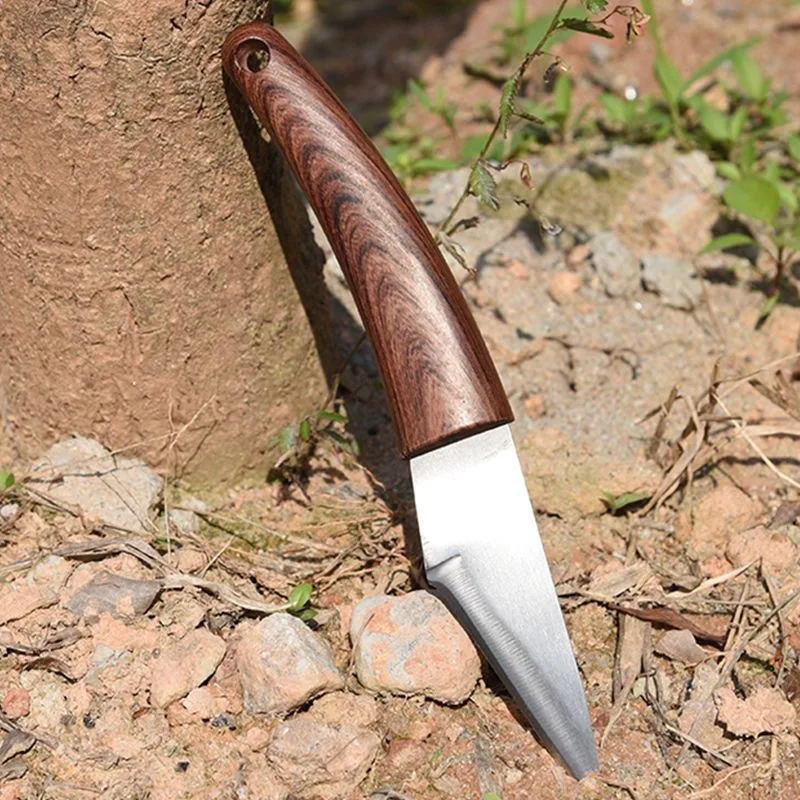 1 Set Sprout grafting knife for garden fruit trees, specialized tool for grafting fruit trees, For Grafting Branches,Super Sharp