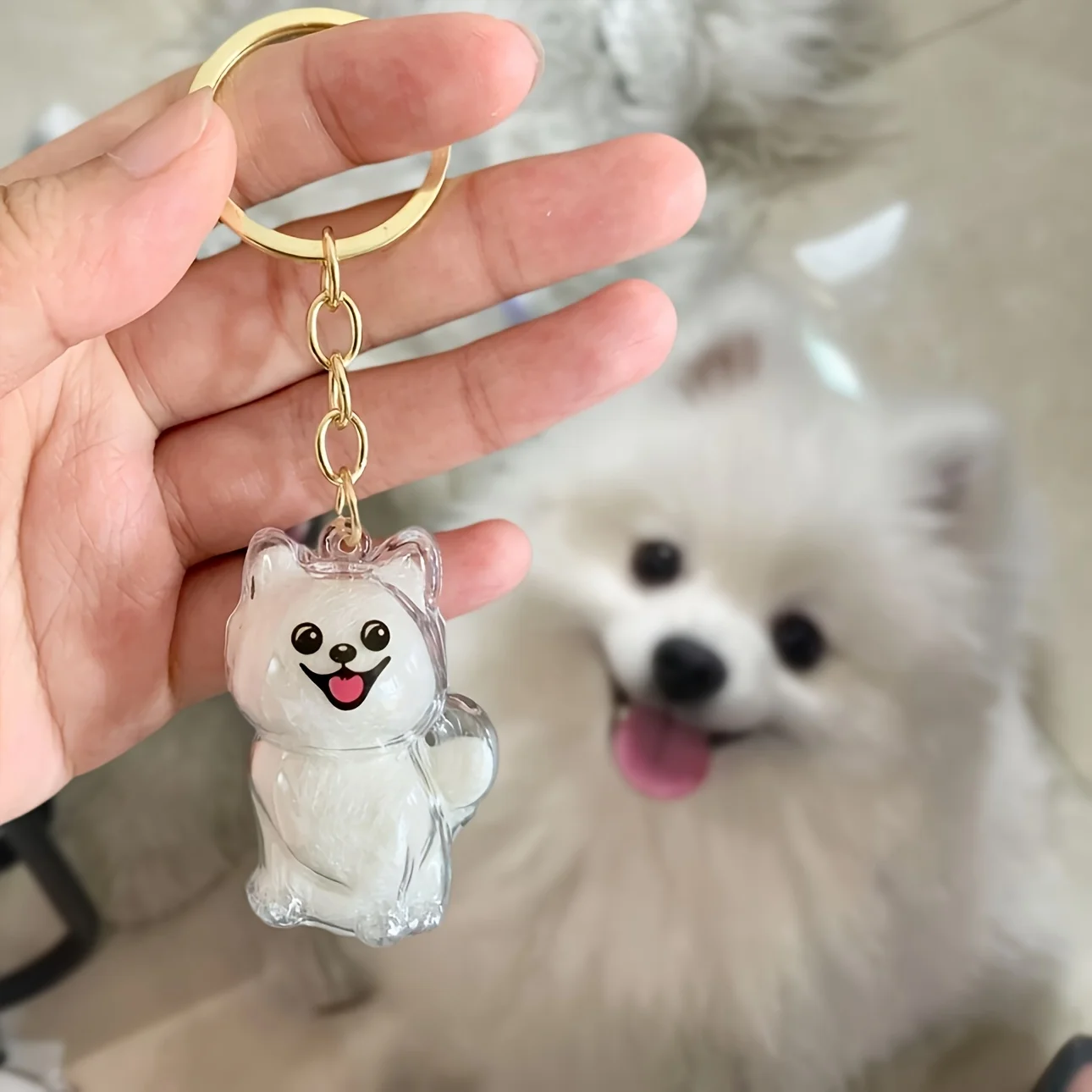 Capsule transparente de collecte de cheveux de chat/chien, porte-clés Kawaii commémoratif pour animaux de compagnie, chat, chien, accessoire pendentif à faire soi-même