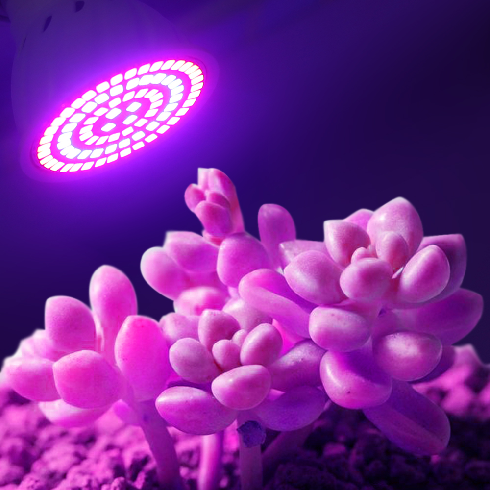 Led 成長電球 220V E27 60 80LED フルスペクトル LED 植物温室水耕成長ライト屋内植物フィトフラワーランプ