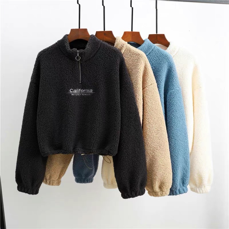 Vrouwen Letter Borduurwerk Stand Hals Fleece Cropped Hoodies Herfst Lange Mouw Trekkoord Sweatshirt Nieuwe Casual Pluche Fluwelen Tops