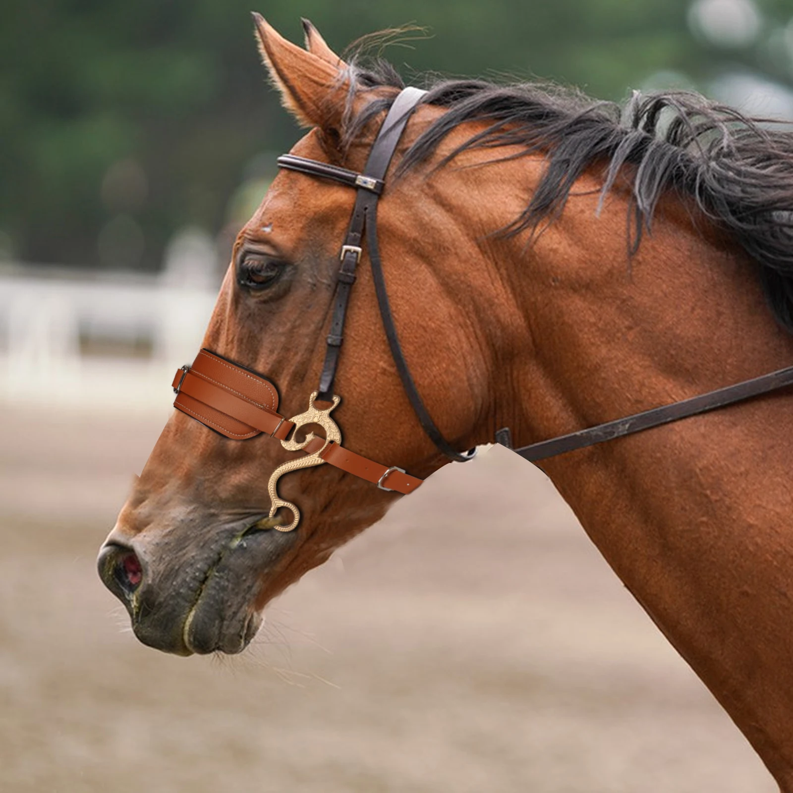 Cavallo Bit briglia Hackamore marrone inglese occidentale naso cordolo catena imbottita attrezzatura per cavalli regolabile