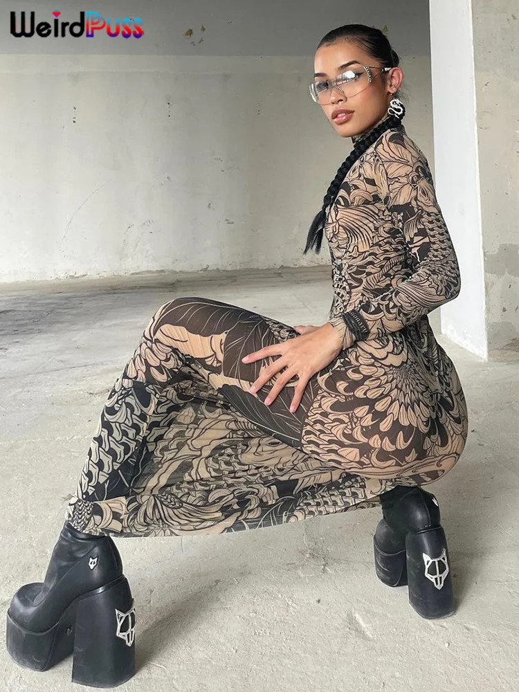 Seltsame Puss Mesh Print Frauen Maxi Kleid Rollkragen Volle Hülse Bodycon Herbst Trendy Hipster High Street Party Y2K Attirewear