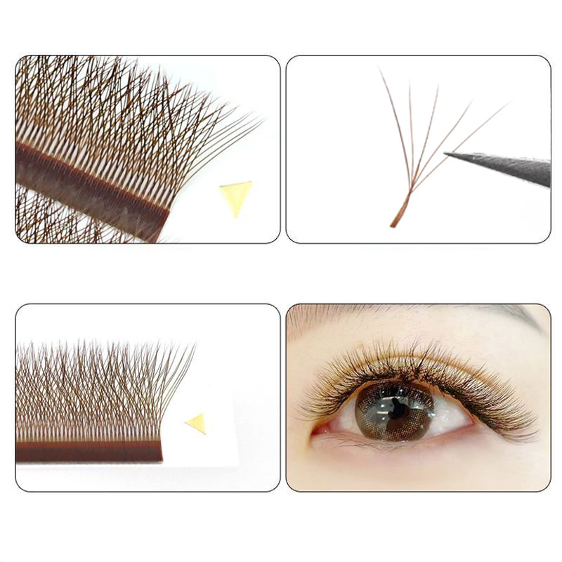 MARIA Коричневый 5D W Форма Тип Наращивание Ресниц Красочные