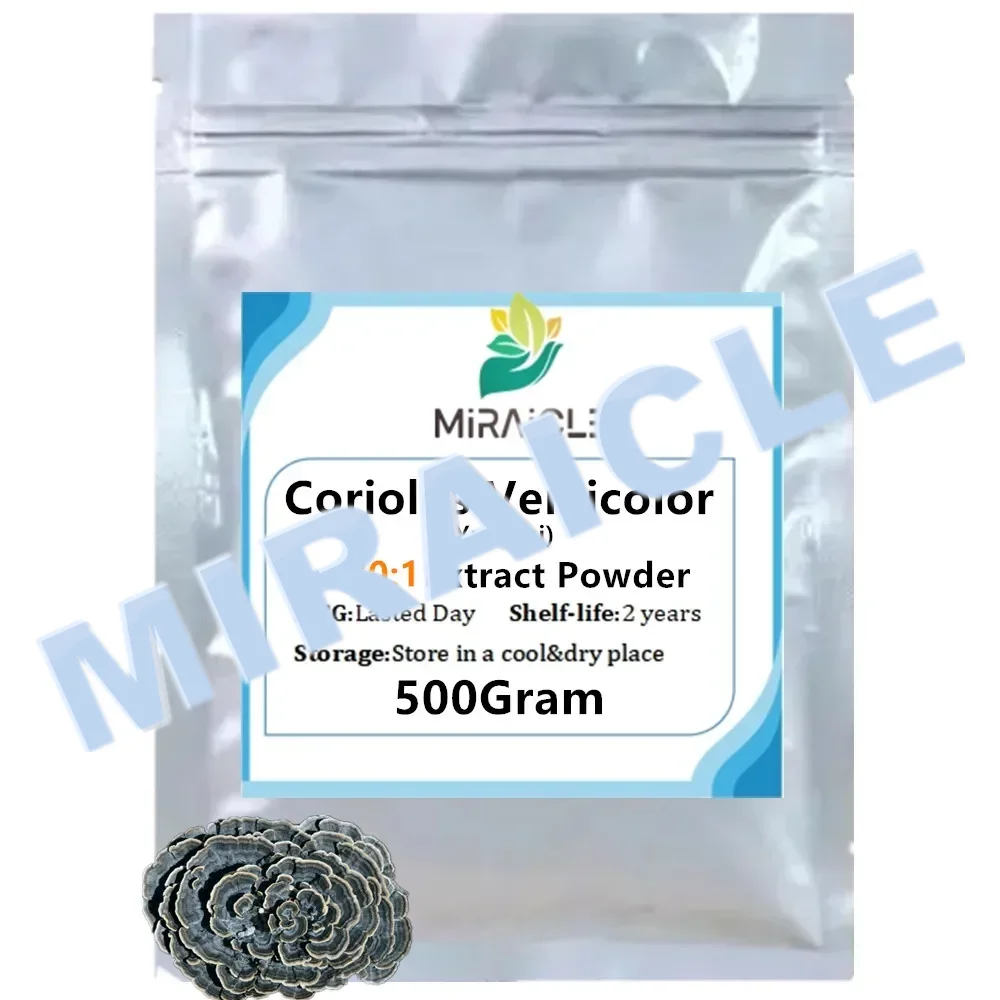 Customized Turkey Tail Yunzhi Extract 30:1 Proportion Packaging Bulk Out Packing Aluminum Foil Bag