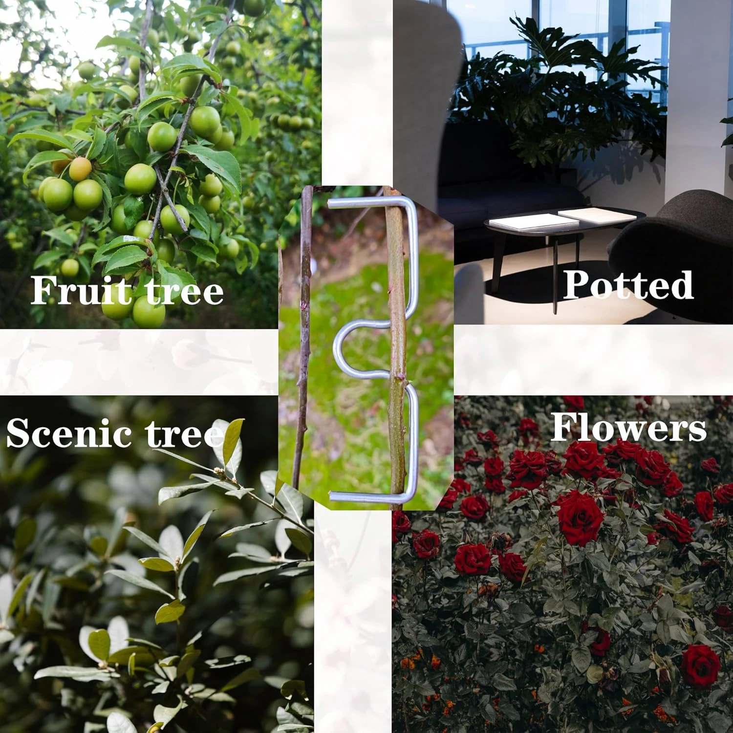 Fruit Tree Branch Shape Fixator Garden Yard Trees Support Holder Plants Vine Trainers M-Shaped Steel Wire Branch Bending Tools