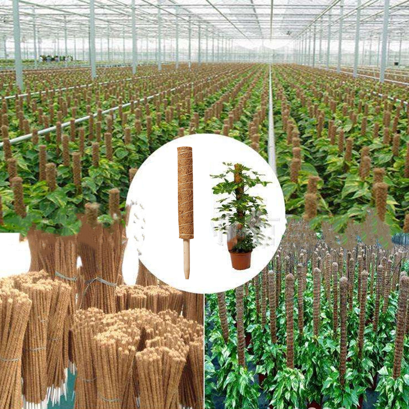 Climbing Totem Pole Plant Support Indoor Climbing Plants Stake Sphagnum Moss