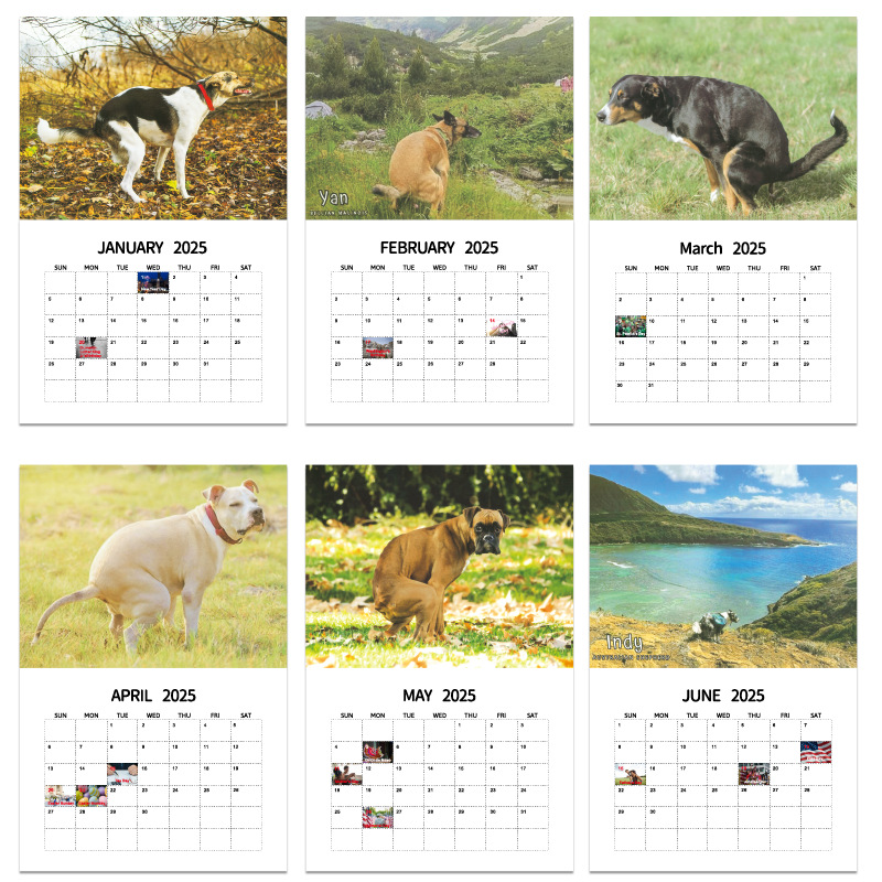 Kalender 2025, honden poepen in mooie plaatsen, grappige gag-geschenken, dik papier, wandkalender, vakantie, kerst, witte olifantgeschenken