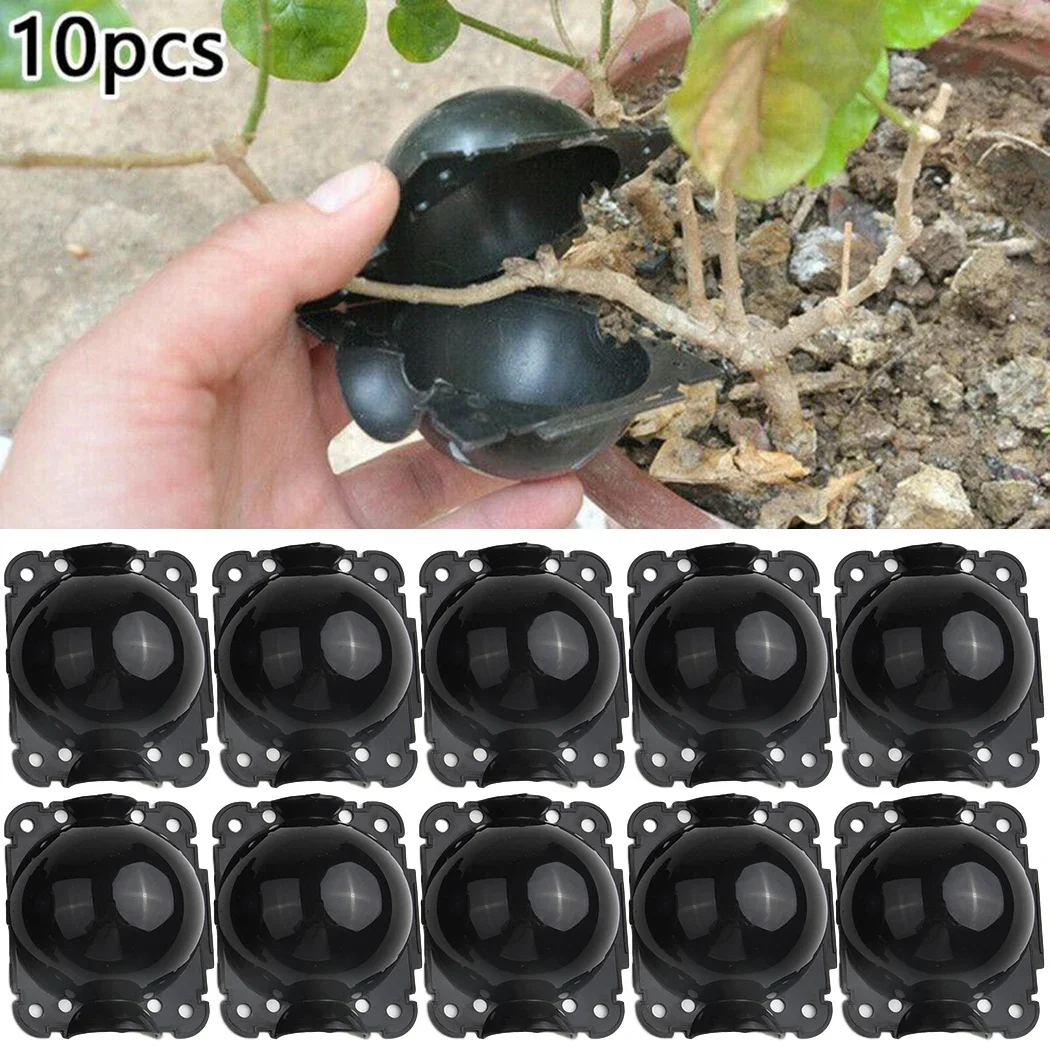 10 ชิ้นReusableรากพืชปลูกกล่องตัดGrafting Rooting Ball Garden Rooting Propagation Ball S Breedingอุปกรณ์