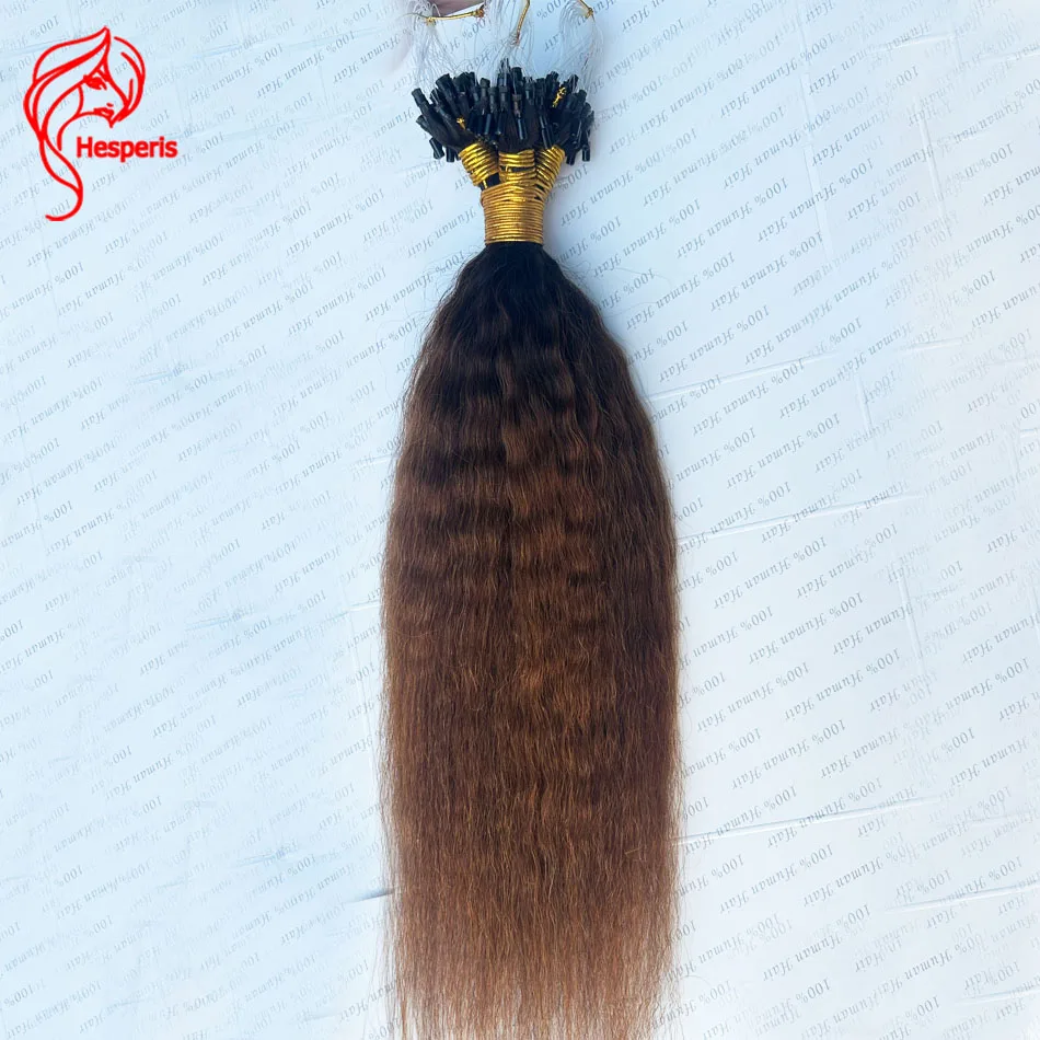 Hesperis-Extensions de Cheveux Naturels Crépus Lisses pour Femme Noire, Micro Boucle Ombré, 100 Mèches/Paquet