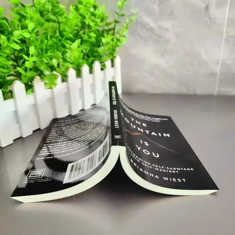 The Mountain Is You: Transforming Self-Sabotage in Self-Mastery Englisch Bücher Geburtstagsgeschenke