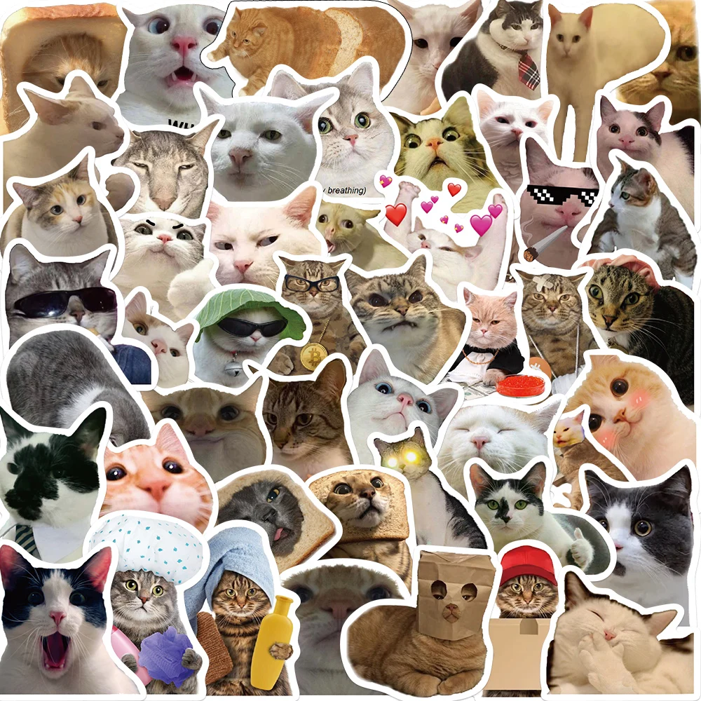50 pezzi divertenti adesivi gatto carino decalcomanie cartoni animati tazza di cancelleria chitarra telefono bicicletta laptop bagagli auto graffiti giocattoli per bambini