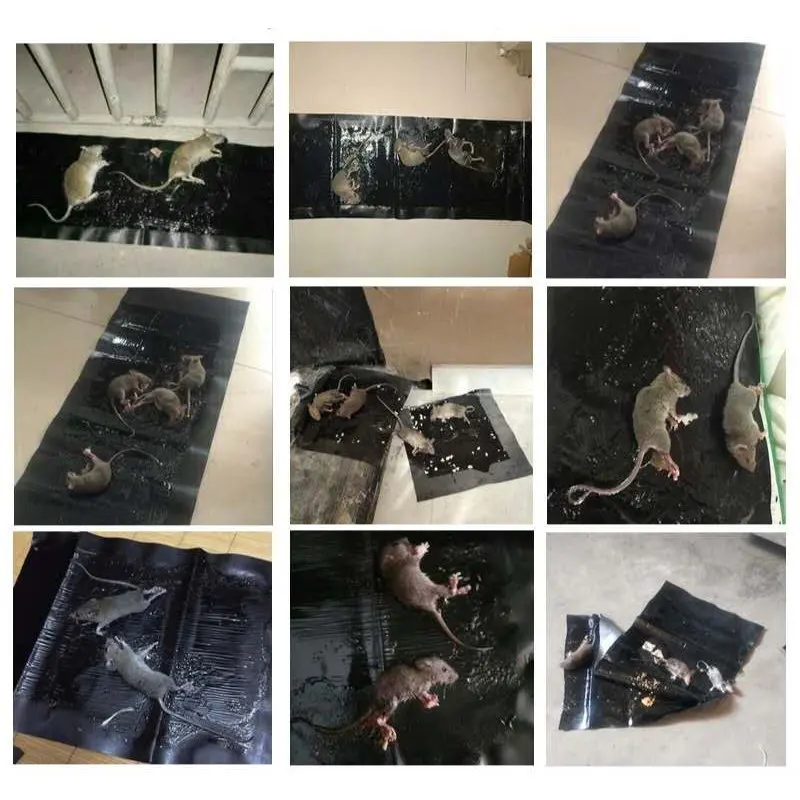 강력한 접착 캡처 기능을 갖춘 검은색 끈끈한 마우스 잡기 매직 담요 2개/세트, 다양한 장소에서 사용 가능