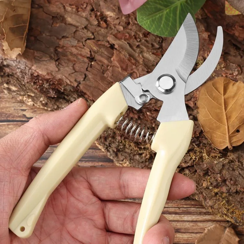 กรรไกรสแตนเลสตัดดอกไม้ตัดแต่งกิ่งผลไม้สวนสาขาตัดในครัวเรือน Grafting สวนกรรไกร