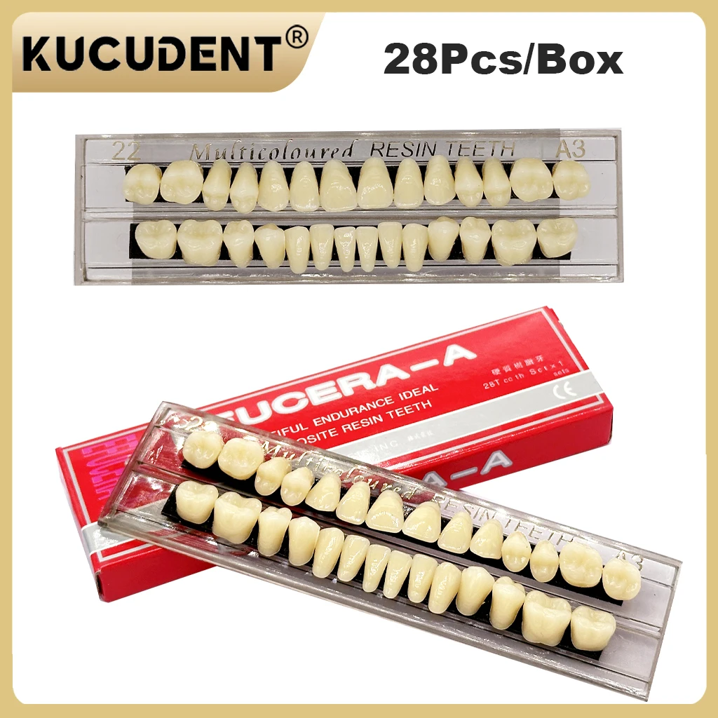 28 dentes resina dentadura dentes dental resina sintética dentes modelo de ensino permanente modelo material dental