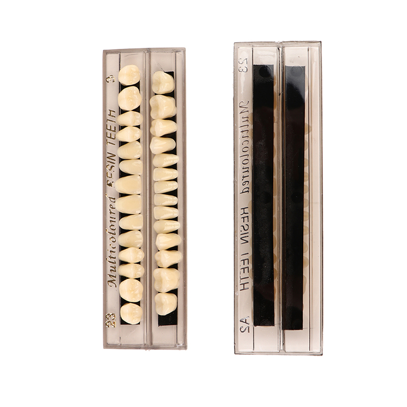 28ฟันเรซิ่นฟันปลอมฟันปลอม Comparator กระจกทันตกรรมฟอกสีฟันทันตกรรมแผ่น Research ทันตกรรมการศึกษารุ่น