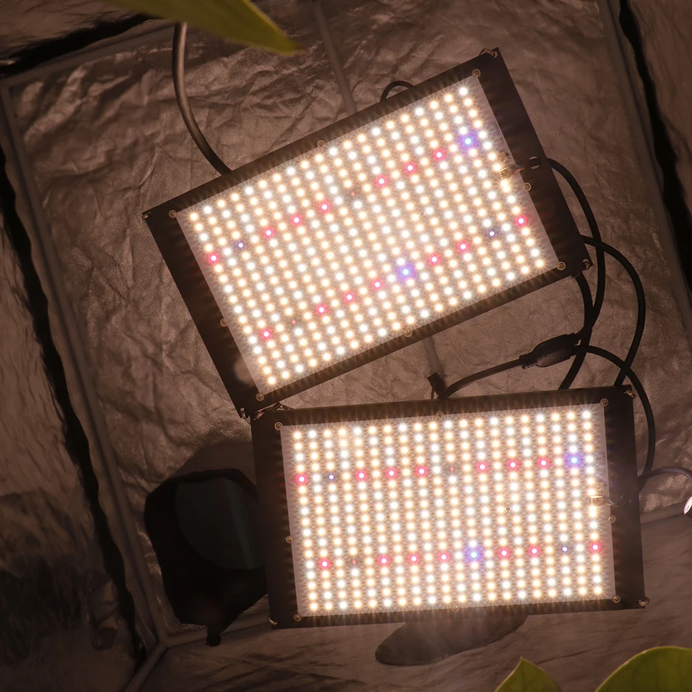 120W 240W Sam-ng LM301h QUANTUM LED Grow Light BOARD โคมไฟ IR UV Full Spectrum Phytolamp สําหรับพืช Hydroponics MeanWell DRIVER