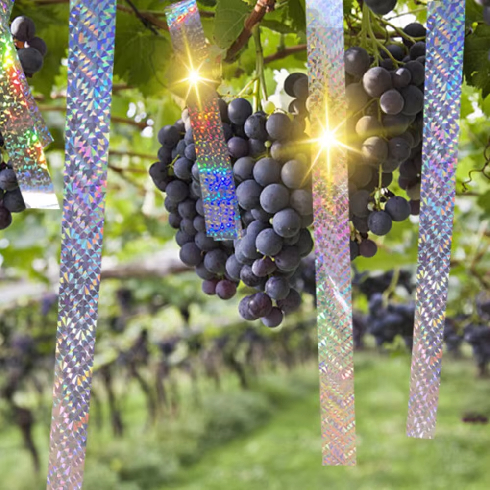 2 ม้วน BIRD Scare ประเภทริบบิ้น,ยับยั้ง Visual Audible เทปสะท้อนแสง TO Keep Away นก,เทปแฟลชสองด้าน