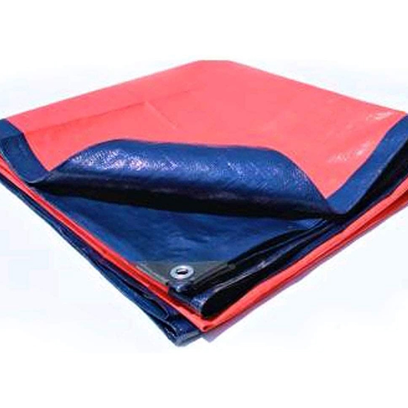 Kit d'Outils de Réparation Tarli pour Chaussures, Vêtements, Artisanat du Cuir, 100 Ensembles de 10mm