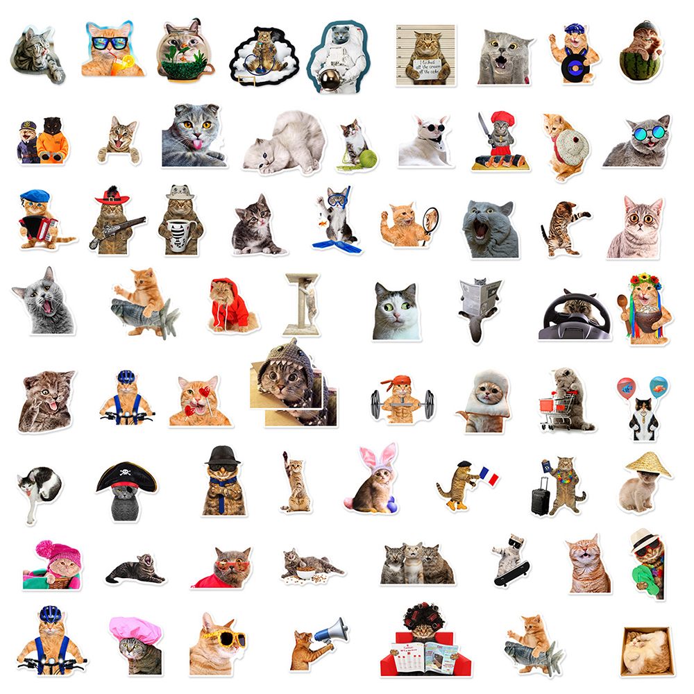 10/30/66 個かわいい面白いミーム猫ステッカーかわいい漫画の動物デカールラップトップオートバイスーツケースノートブック防水ステッカー
