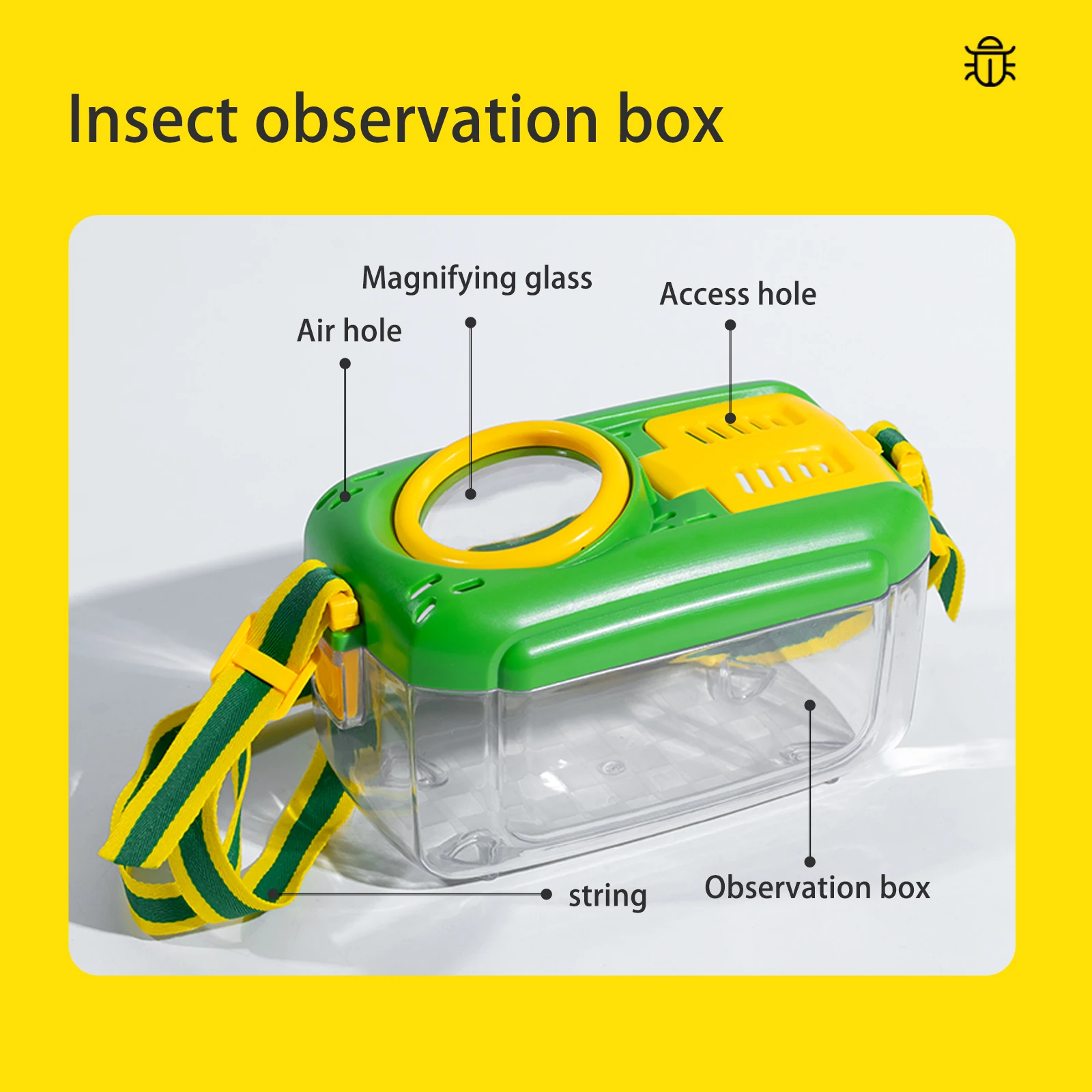 Caja de observación de insectos con lupa, caja de observación de insectos para niños, colección transparente, investigación de observación