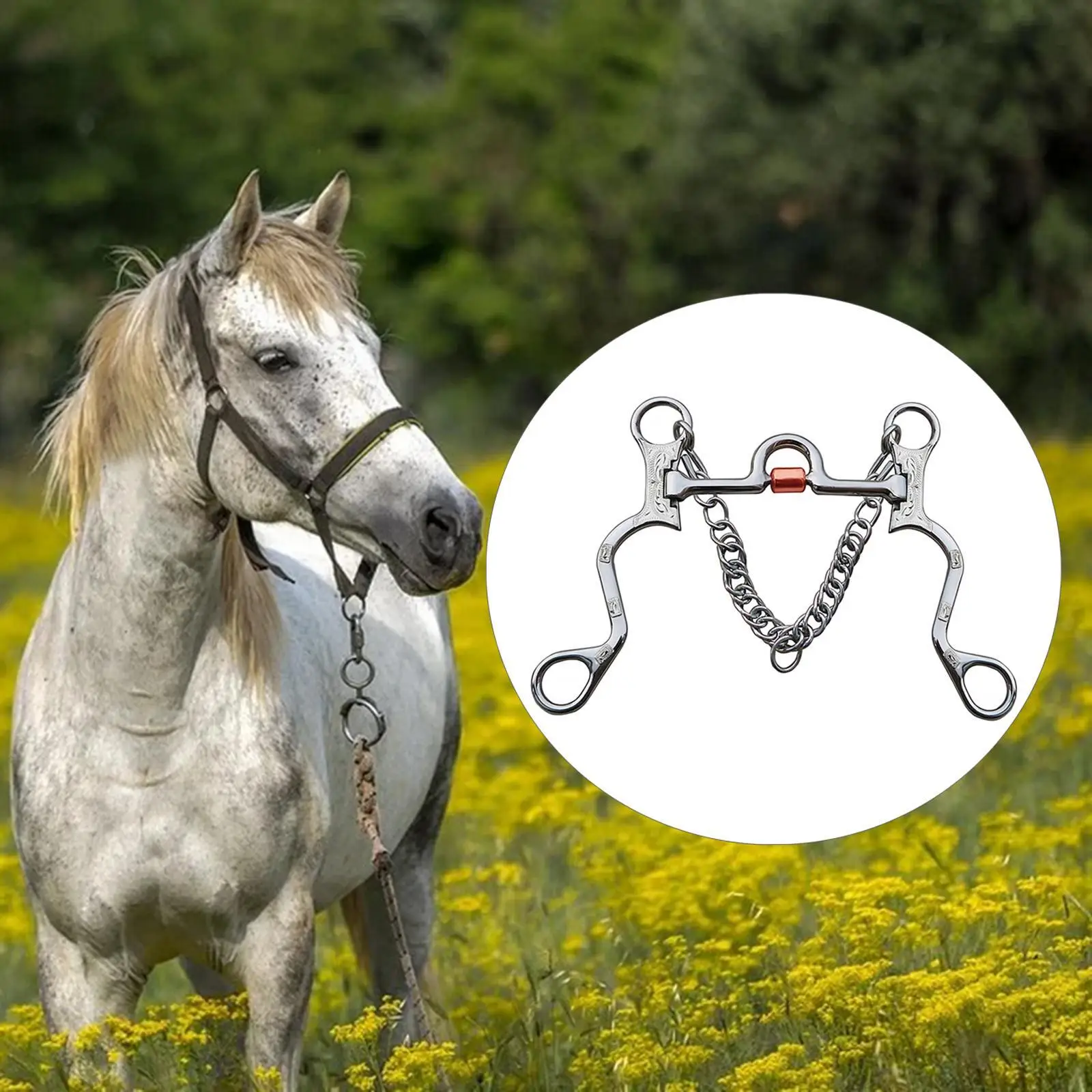 Punta per cavallo in acciaio inossidabile Bocca in rame per allenamento per cavalli Lunghezza bocca Argento Lunghezza bocca 130 mm