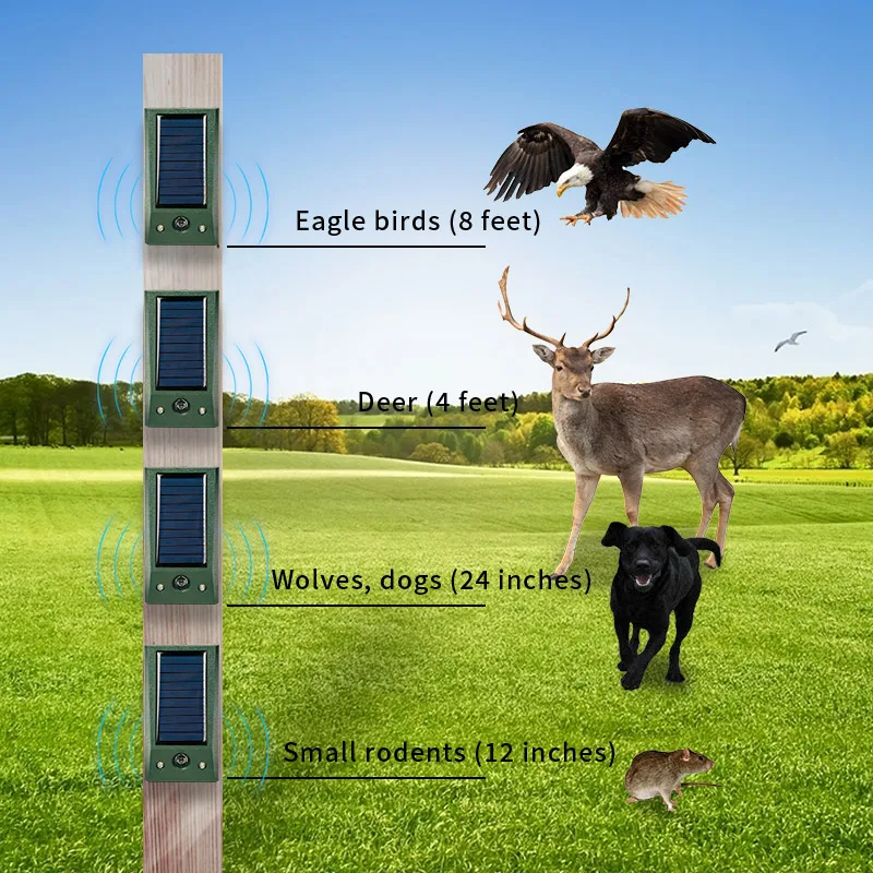 Solar powered ultrasonic rat repellent LED night time red and white explosion flashing bird repellent