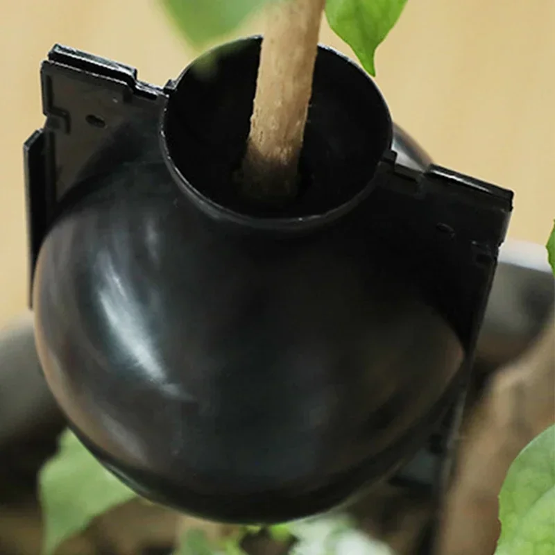 10 ชิ้นReusableรากพืชปลูกกล่องตัดGrafting Rooting Ball Garden Rooting Propagation Ball S Breedingอุปกรณ์