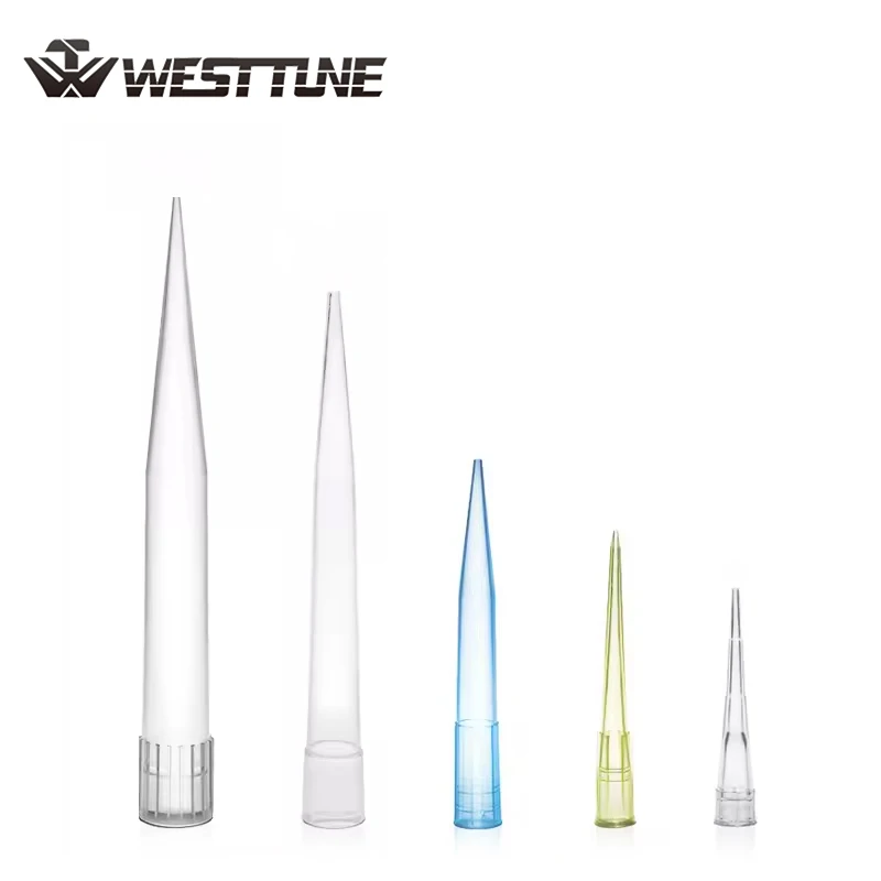 Westtune Laboratory 10ul 200ul 1ml 5ml 10ml Punte per pipette per pipette liquide da laboratorio, punte per pipette universali