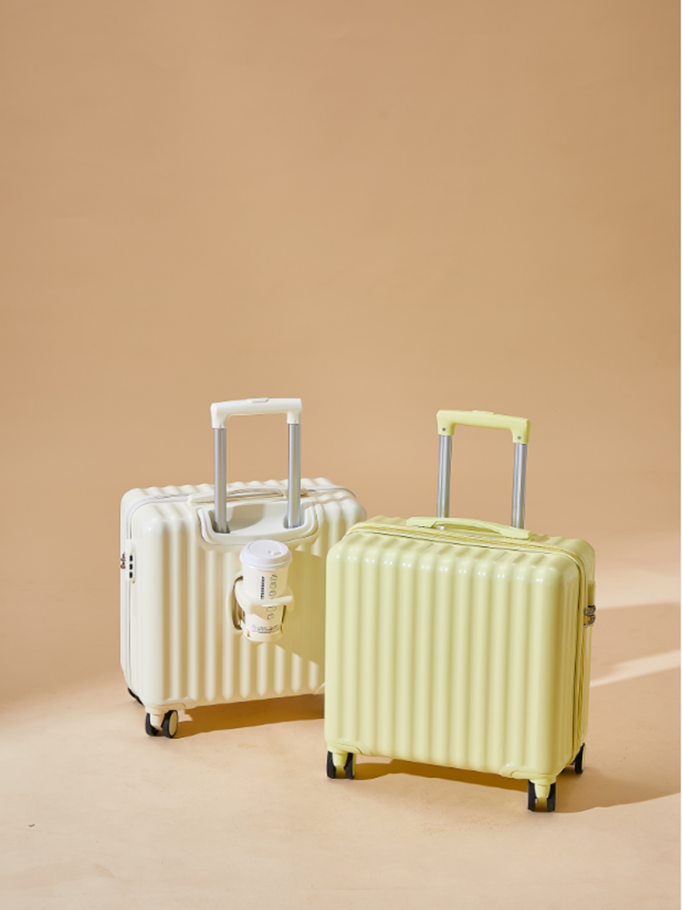 Small Carry-On Suitcase 20 Inch Travel Bag with Password Lock Lightweight Universal Wheel for Men And Women Fashion Trend