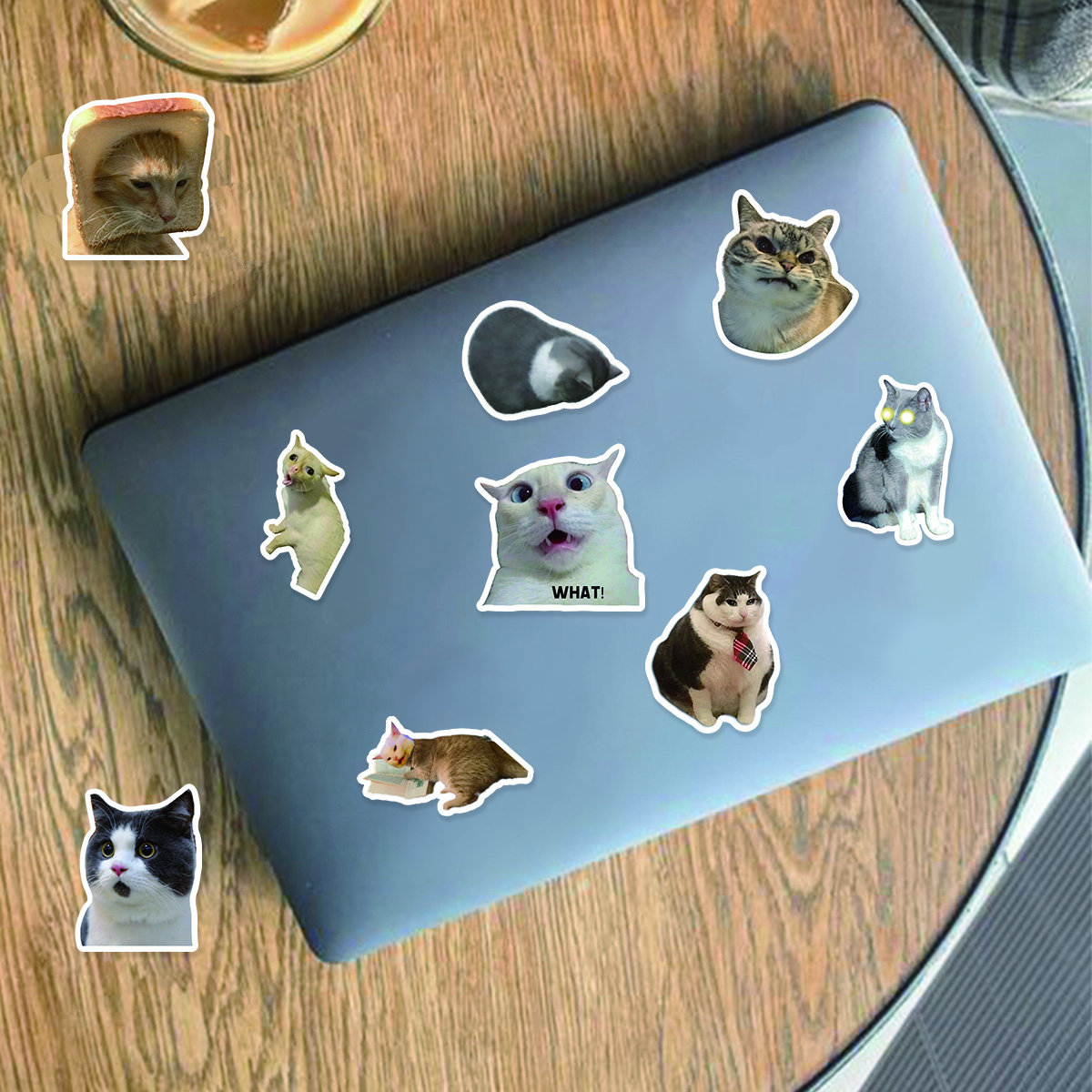 50 개/가방, 재미 있은 동물 스티커, 방수 스케이트 보드 DlY 수하물 노트북 전화에 적합 크리 에이 티브 편지지 ToysColor