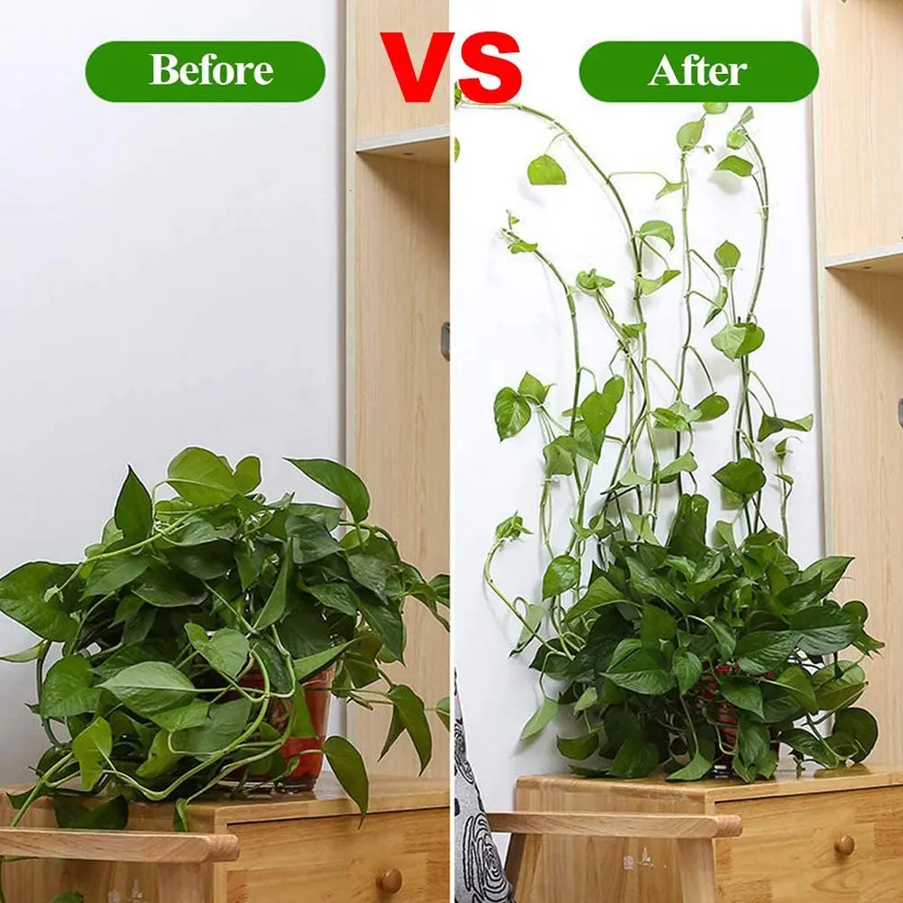 Plant Climbing Wall Clips Vine Buckle Hook Fastener Tied Fixture Buckle Hook Plant Stent Invisible Vine Climbing Fixed Bracket