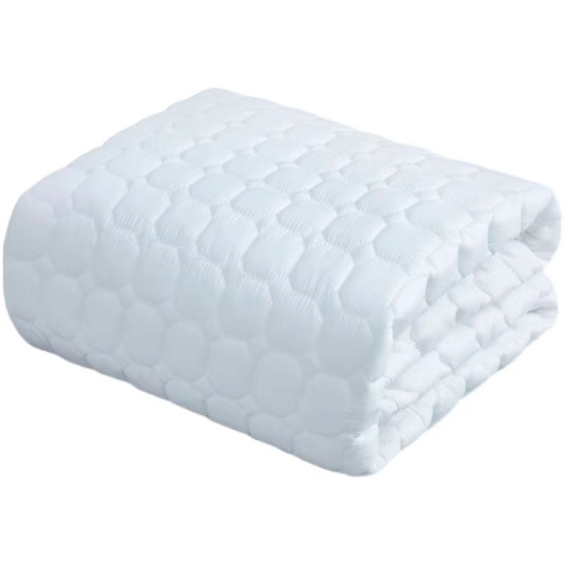 Cotton Hotel Single Double Non-Slip Mat Hotel Thin Mattress Protective Pad Student Dormitory Bed Cotton-Padded Mattress Cushion