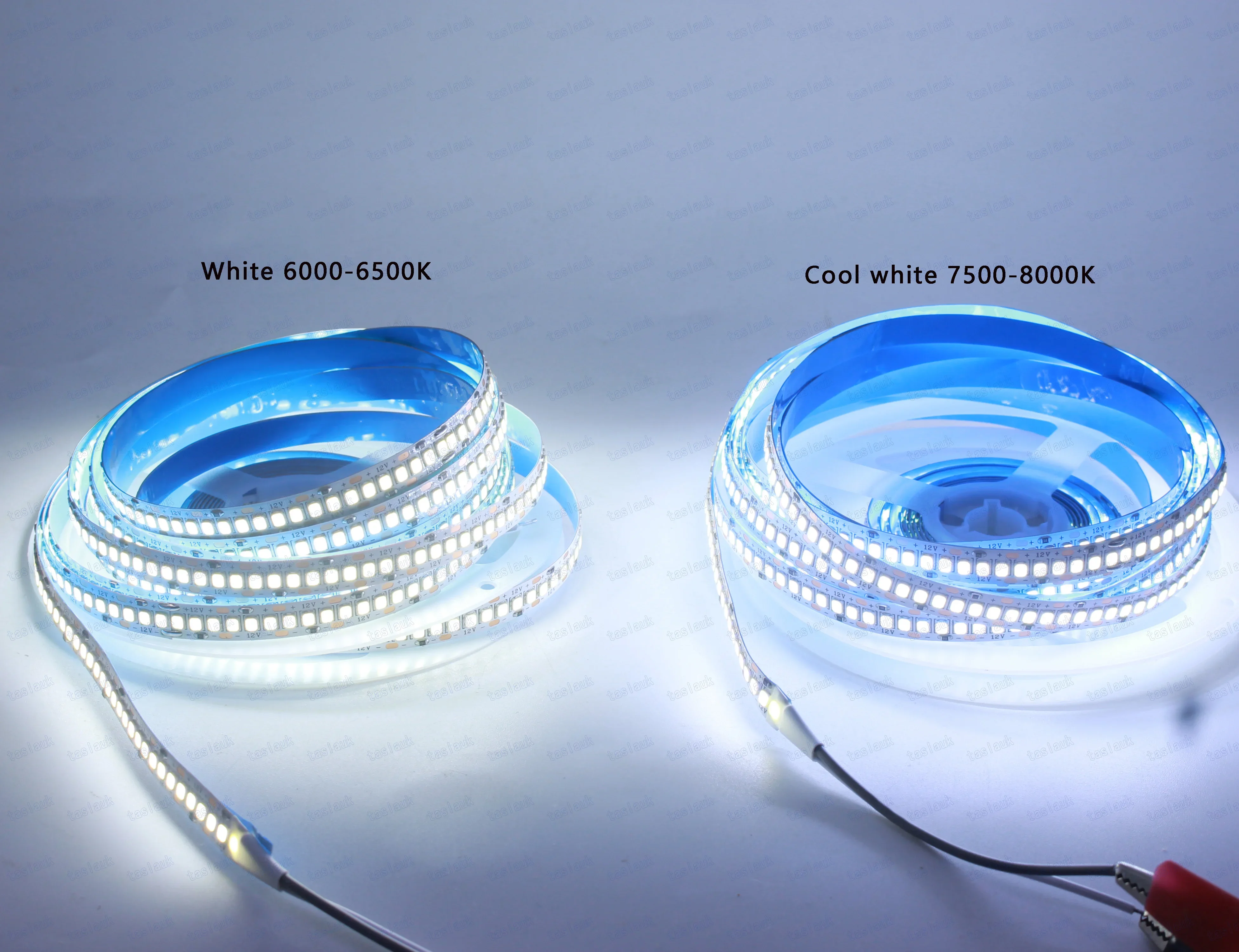 1/2/3/4/5 m/lot 10mm PCB 2835 SMD 1200 LED bande DC12V 24 V ip20 Non étanche lumière Flexible 240 LED s/m, blanc chaud
