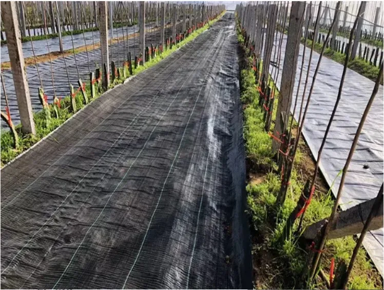 Venta al por mayor de barrera de malas hierbas geotéxtil tejida de PP negro, alfombrillas de protección UV de 90GSM, cubierta de suelo para jardín de granja, estera de Control de malezas