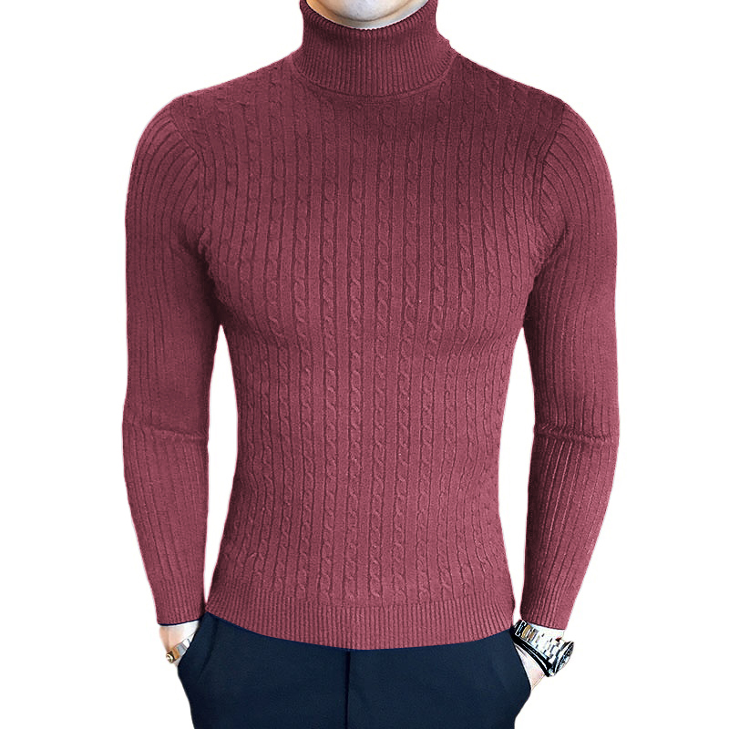Pull à col roulé pour hommes, coupe cintrée, décontracté, à motifs torsadés, tricoté, Streetwear d'extérieur, chaud, automne