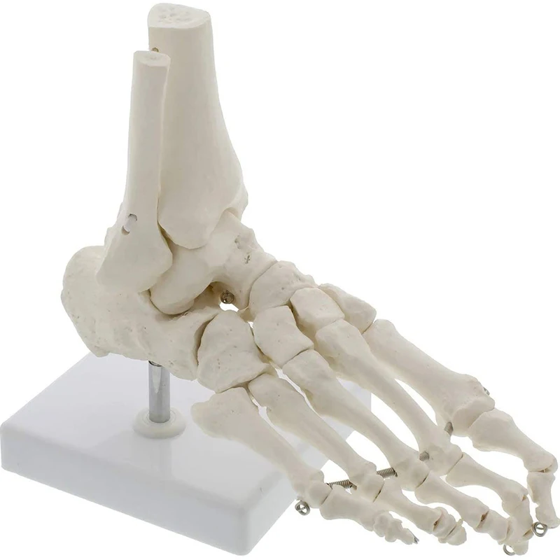 lang.product_image