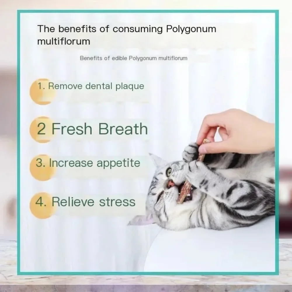 6PCs Natural Cat Sticks Mint Scratching Biting Excitement Sticks Silver Vine Cat Teeth Cleaning and Treatment Cat Toys