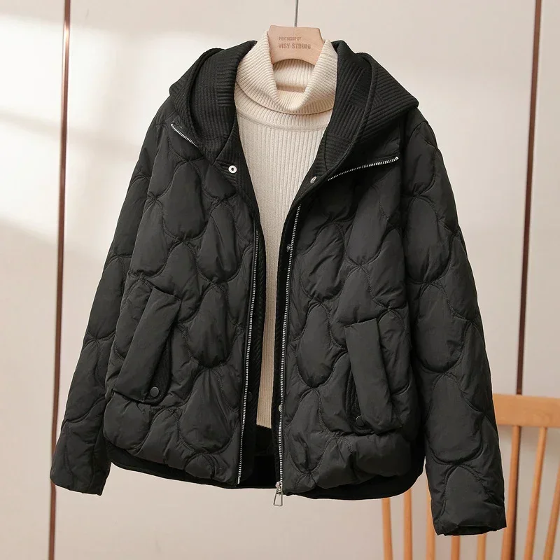 Women's White Duck Down Hooded Jacket, Warm Vacation Jacket, Casual, Korean, Autumn, Winter, New