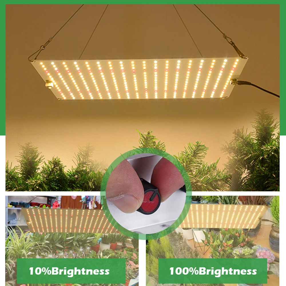 Quantum LED Grow Light LM281B Veg en Bloom Phytolamp, EU-stekker, voor plant Volledig spectrum hydrocultuurlamp Kasbloem