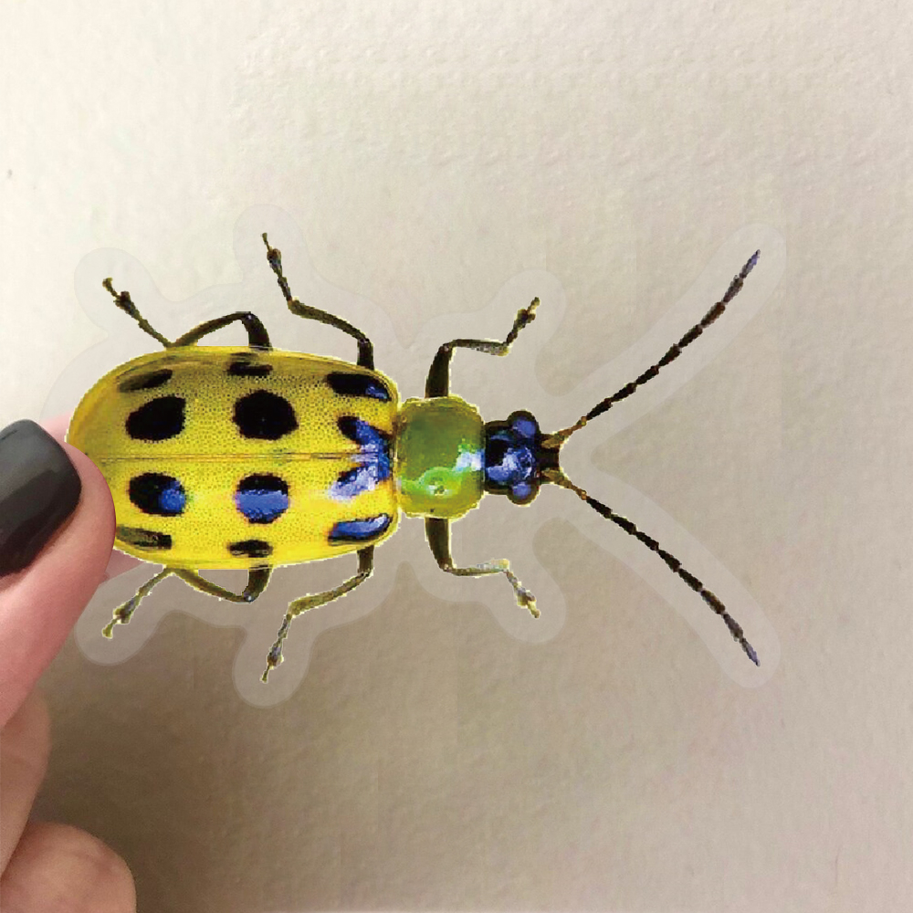 50 個漫画かわいい漫画昆虫カブトムシステッカー PET おもちゃ DIY 荷物ラップトップギタースケートボード電話ケースバイク車のステッカー