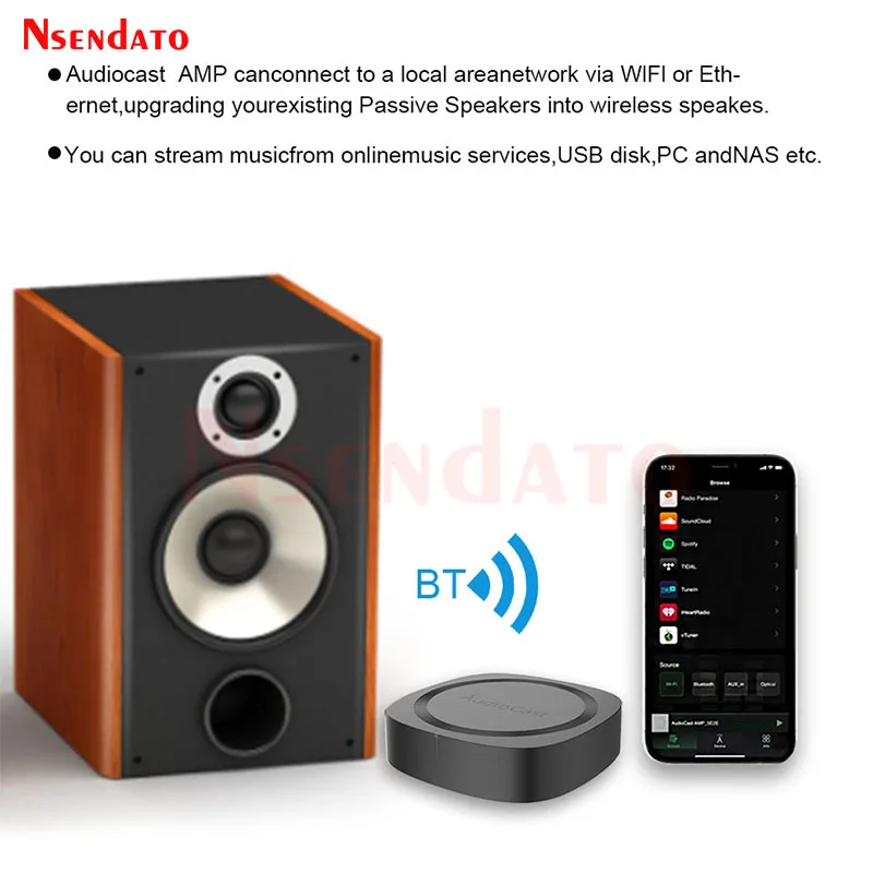 IEAST Audiocast AMP50 Wireless WiFi & BT V5.0 Amplifier Multi room Audio Music Receiver Adapter For Airplay DLNA Speakers Mic TV