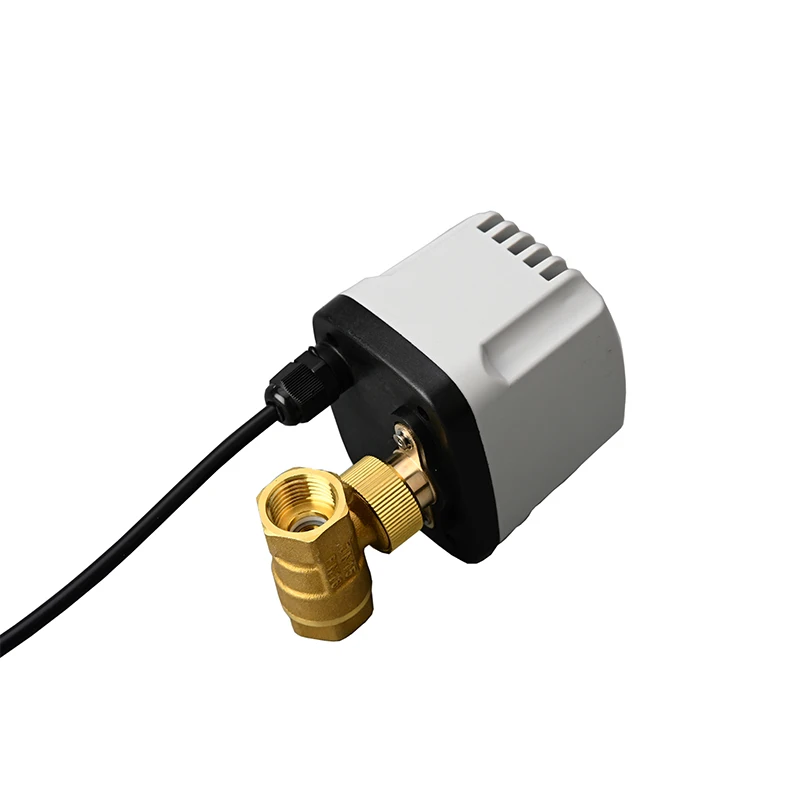 1/2 "3/4" 1 "2" IP65 กันน้ําบอลวาล์วมอเตอร์ 3 สาย 2 ควบคุมทองเหลืองบอลวาล์วไฟฟ้าแรงบิดขนาดใหญ่มอเตอร์โลหะ
