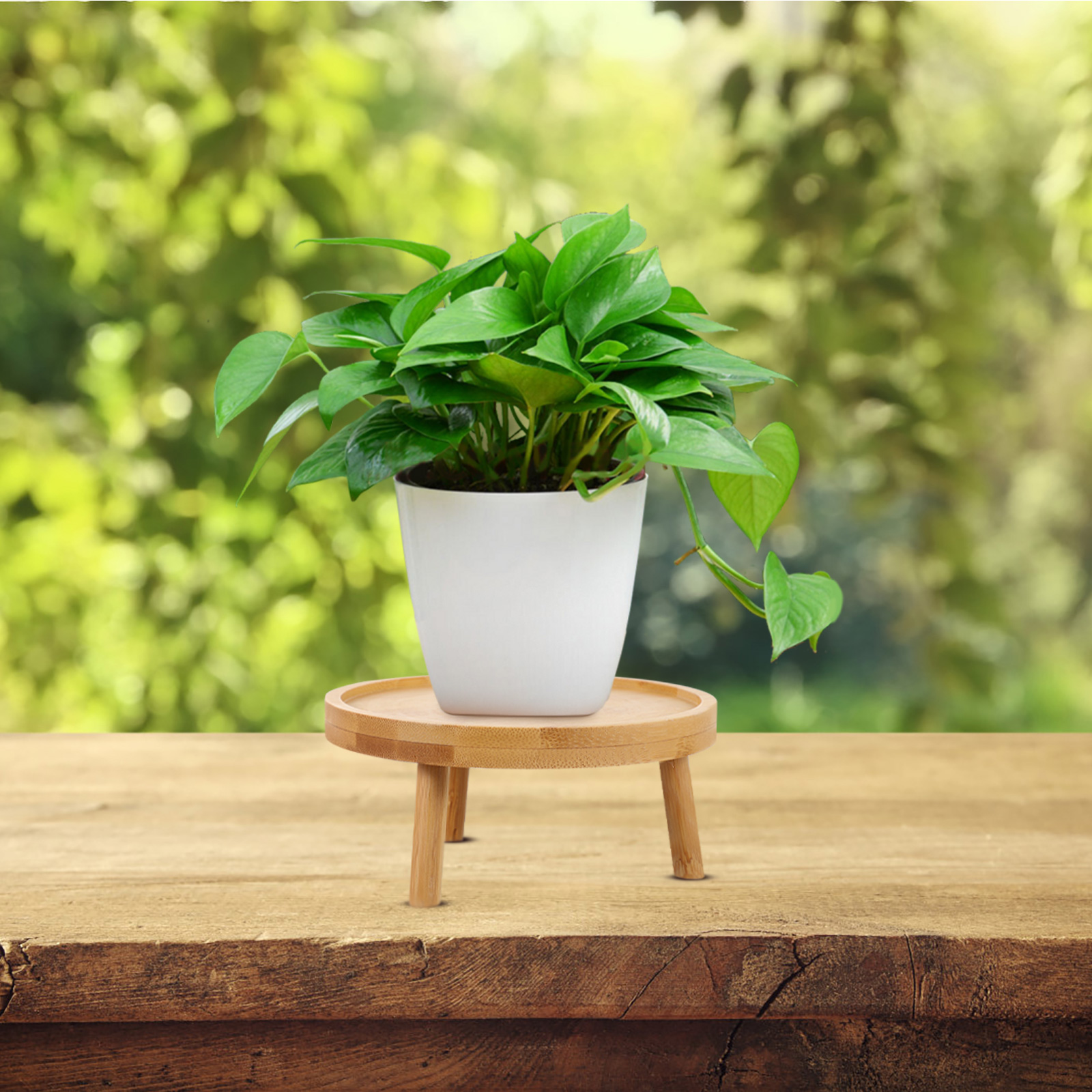 Hoa Giá Đỡ Đứng Vật Có Nồi Gỗ Dụng Cụ Bào Chậu Giá Đỡ Màn Hình Hiện Đại Ban Công Kệ Gỗ Trang Trí Đứng Vòng Mộc Mạc
