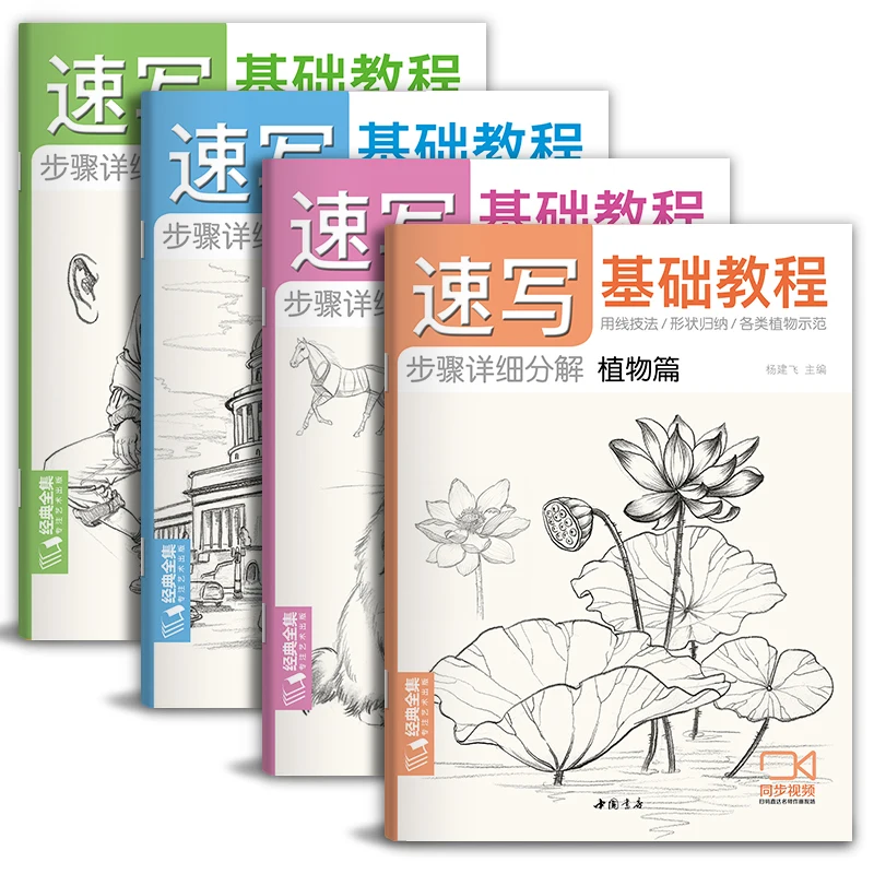 Basic Sketching Tutorial Book Plant Animal Scenery Figure Facial Sketch Textbook Zero Based Self Study Sketch Skill Detail Books
