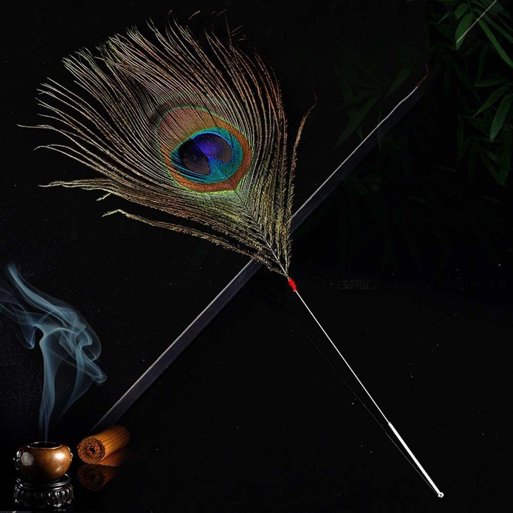 Adult Health Care Curette Peacock Feather Earpick Ear Dig Tools Ear Cleaner Stick Silver Needle